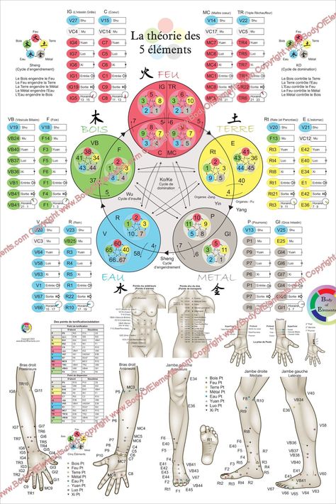 "French Five Elements Acupuncture Points Poster 20\" X 30\" & 24\" X 36\" La théorie des Cinq Éléments et points d'acupuncture - (50.8 cm X 76.2 cm) & (60.96 cm X 91.44 cm) Printed on HP satin finish paper or laminated. The five elements theory of acupuncture poster in French. The wall chart list the element points (Fire, Earth, Metal, Water and Wood) (Bois, Feu, Terre, Métal, Eau). All color coordinated for each of the meridians. The Back Shu, Front Mu, Source, Luo, Xi Cleft, Entry, Exit and Horary points are listed in large type for each meridian. The horary points show the time when the meridian is most active. All of these points are marked on the illustrations of the arms and legs including a table of the tonification and sedation points. The pulse diagnosis point locations. The large Acupuncture Charts, Meridian Acupuncture, Acupuncture Points Chart, Polarity Therapy, Meridian Points, Labyrinth Design, Body Wisdom, Point Acupuncture, The Five Elements