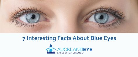 7 Interesting Facts About Blue Eyes Facts About Blue Eyes, Blue Eye Facts, People With Brown Eyes, Change Eye Color, People With Blue Eyes, Woman Eyes, Decorating Rooms, Egypt Pyramids, Eye Facts