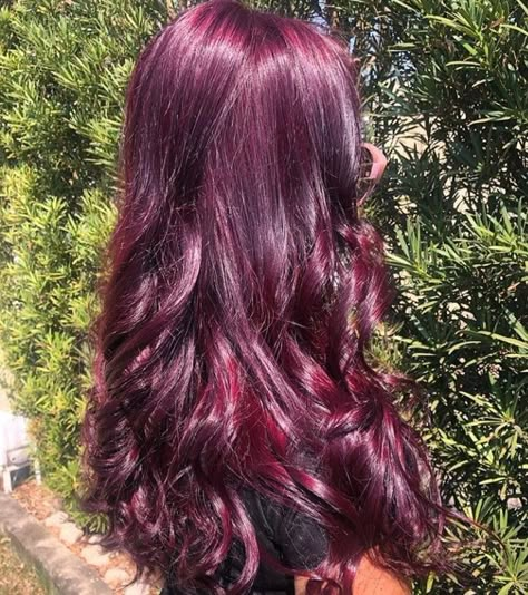 Cranberry Purple Hair, Maroon Hair Dye Ideas, Dark Red Hair With Purple Undertones, Blackberry Red Hair, Red Ish Purple Hair, Maroon Violet Hair, Burgundy Purple Balayage, Red Hair Purple Undertone, Cherry Red Purple Hair