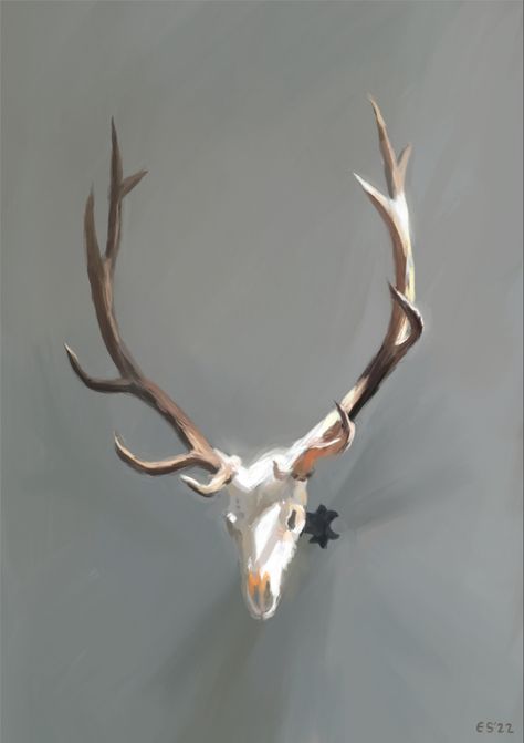 A digital painting of an elk skull with large antlers mounted on a gray wall lit by sunlight Elk Skull, Black Hat, Creature Design, Antlers, Sleeve Tattoos, Digital Painting, Elk, Character Inspiration, Reno