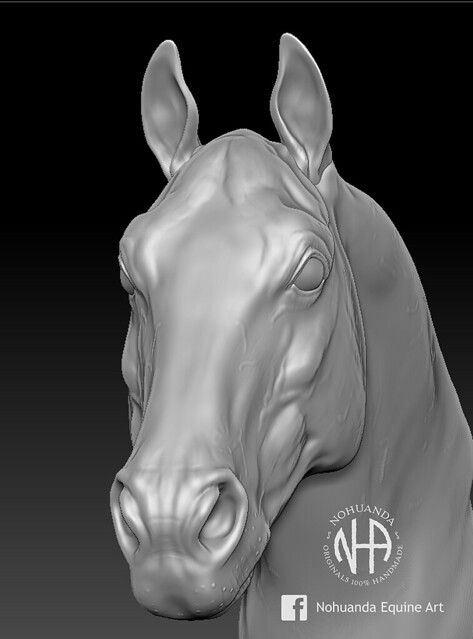 3D Quarter horse | Nohuanda Equine Art | Flickr Funny Horse Pictures, Horse Mask, Fire Horse, Horse Sketch, Human Sculpture, Animal Skeletons, Horse Anatomy, Horse Artwork, Horse Coloring Pages