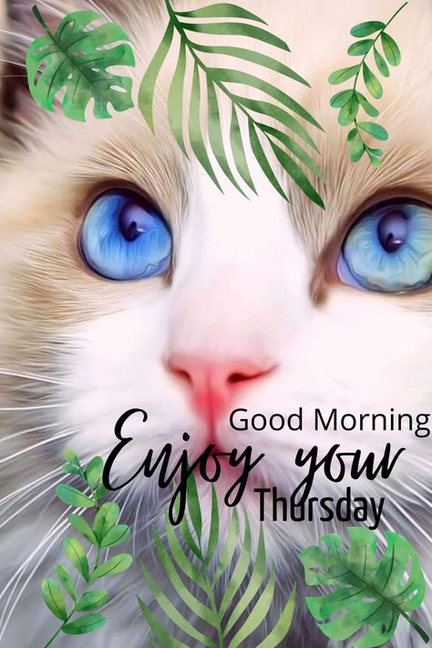 Good Morning Thursday Gif, Happy Thursday Morning, Baby Elephants Art, Hello Thursday, Days Quotes, Good Day Wishes, Morning Thursday, Good Thursday, Morning Friday