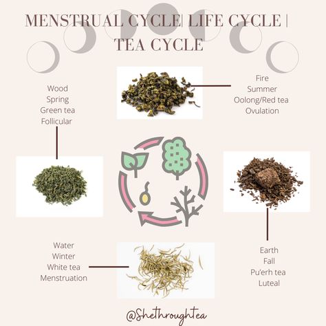 “What type of tea do you drink for the different phases of your cycle?” Teas For Cycle Syncing, Menstrual Cycle Tea, Tea For Cycle Syncing, Menstrual Tea Blend, Menstrual Cycle Drinks, Tea Cycle Syncing, Tea For Cycle Phases, Herbal Teas For Menstrual Cycle, Teas For Follicular Phase