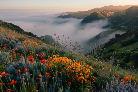 Landscape Ethereal misty mountain valley at sunrise with fog rolling over hills dotted with colorful wildflowers   nature background Pretty Landscapes Horizontal, Nature Landscape Horizontal, Landscape 16:9, Nature Aesthetic Horizontal, Nature Horizontal, Seasonal Backgrounds, Fog Landscape, Nature Desktop Wallpaper, Plains Landscape