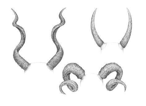 Types Of Horns, Horns Drawing References, Gargoyle Drawing, Sheep Drawing, Dragon Horns, Goat Horns, Dark Art Drawings, Scary Art, 문신 디자인