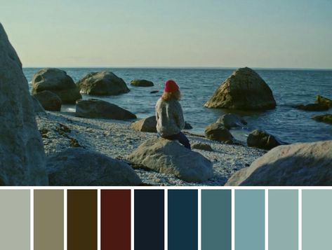 Movie Color Palette Colour Schemes, Cinematic Color Palette, Cinema Palettes, Movie Cinematography, Cinematic Portrait, Film Study, Color In Film, Movie Color Palette, Beaches Film