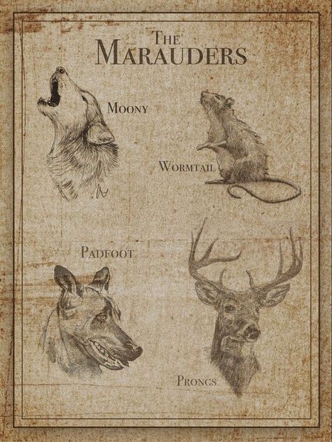 Marauders Wall Prints, Marauders Prints, Harry Potter Poster Vintage, Marauders Poster, Harry Potter Creatures, Poster Harry Potter, Harry Potter Wall, Harry Potter Poster, Buku Harry Potter