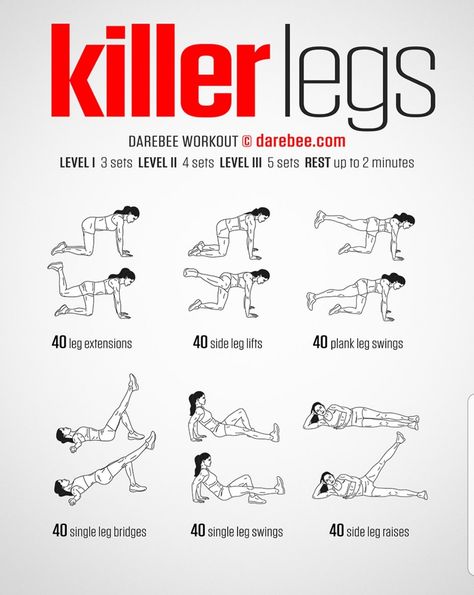 Killer Legs Workout, Best Leg Workouts, Darebee Workout, Stamina Workout, Leg Workout At Home, Gym Workout Planner, Fitness Plans, Latihan Kardio, Leg Workouts