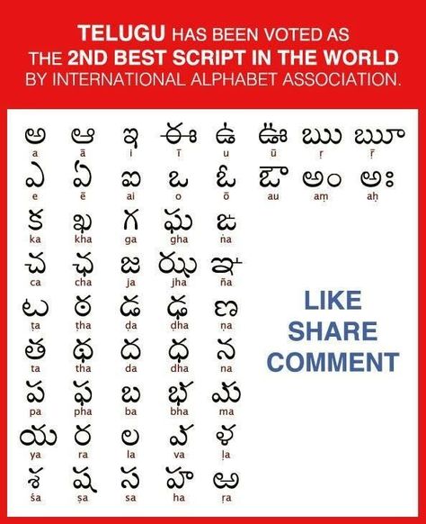 Telugu Letters Chart, Telugu Alphabets, Telugu Learning, Learn Telugu, Telugu Rhymes, Letter Writing Examples, Hindi Alphabet, Easy Korean Words, Abc Phonics