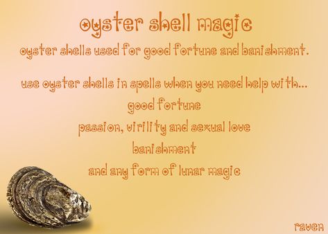 Oyster Shell Magic Shells Magical Properties, Oyster Symbolism, Seashell Meaning, Shells Witchcraft, Seashell Magick, Seashells Witchcraft, Shell Divination, Wicca Lifestyle, Sea Magick