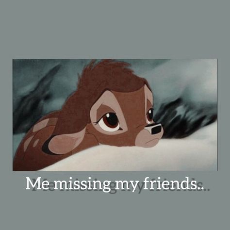 I Miss My Friends Quotes, I Miss My Friend, Missing Friends Quotes, Best Friend Meme, Missing Friends, I Miss My Friends, Miss My Best Friend, Friendship Memes, Love You Meme