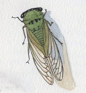 Cicada Art, Cicada Tattoo, Bugs Drawing, Under Ground, Insect Tattoo, Bug Art, Summer Morning, Iron Fence, Patiently Waiting