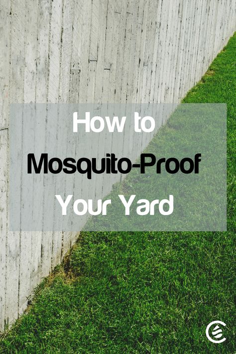 Backyard Mosquito Repellent, Mosquito Yard Spray, Diy Mosquito Repellent, Plants That Repel Bugs, Mosquito Plants, Mosquito Spray, Natural Mosquito Repellant, Aerate Lawn, Diy Lawn