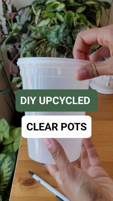 Meera 🌸 Houseplants and Propagations on Instagram: "Let's upcycle old takeout containers into clear pots! Clear pots can be so expensive online, so this cheap DIY is great because you get to reuse containers that would get thrown away. Tips for making a pot: 1. Wear a mask and gloves for safety 2. Use a well ventilated area 3. Make sure to wash the container before using 4. Make as many holes as you like. Feel free to play around with hole size and shape! 5. Feel free to use containers that Upcycle Containers, Reuse Containers, Plant Pot Diy, Plant Crafts, House Plant Pots, Soup Containers, Wear A Mask, Diy Upcycle, Diy Cans