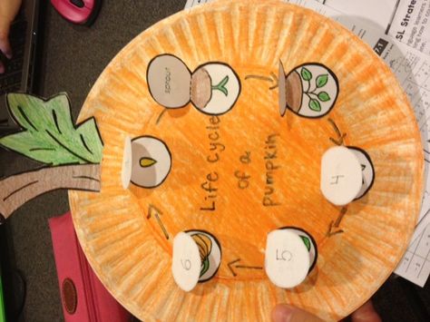 Life Cycle Of A Pumpkin Kindergarten, Life Cycle Of A Pumpkin Craft, Life Cycle Of A Pumpkin Preschool, Pumpkin Life Cycle Preschool, Pumpkin Life Cycle Kindergarten, Pumpkin Cycle, Lifecycle Of A Pumpkin, Pumpkin Life Cycle Craft, Pumpkin Science Activities