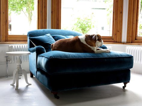 Dream Book Design Blue Velvet Loveseat, Cozy Chairs, Velvet Chaise, Blue Velvet Chairs, Rolled Arm Chair, Peacock Teal, Upholstered Swivel Chairs, Teal Velvet, Velvet Loveseat