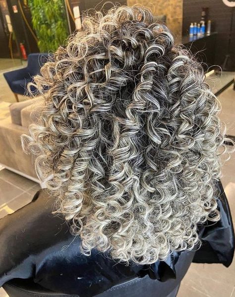 Ash Curly Hair, Gray Blonde Curly Hair, Ash Blonde Curls, Silver Highlights On Curly Hair, Icy Blonde Curly Hair, Curly Silver Hair, White Hair Highlights, Crochet Hair Styles Freetress, Grey Curly Hair