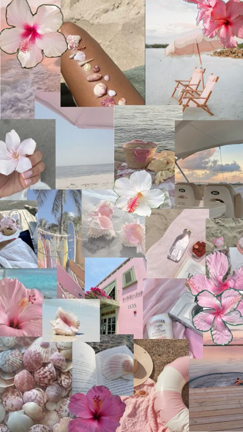 Fluttershy, Pink Wallpaper, Pink And White, Hawaii, Collage, Floral, Flowers, Pink, White