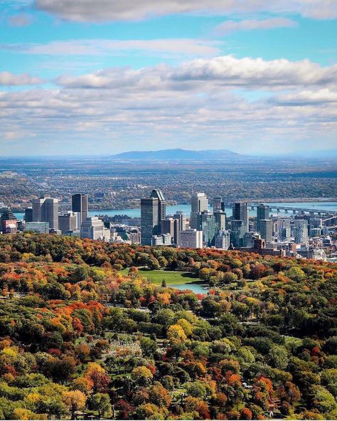 Live MTL on Instagram: “Mont Royal 😍🍂🍁🍃 📸@jfsavaria #montreal #mtl #livemtl #livemontreal #montréal #mtlmoments #quebec #québec #canada #montroyal #october…” Mont Royal Montreal, Mother Language Day, Essay Contests, Thesis Statement, Essay Writer, Good Essay, Montreal Quebec, Long Weekend, Week End