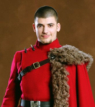 Victor Krum, Stanislav Ianevski, Durmstrang Institute, Viktor Krum, Imprimibles Harry Potter, Harry Potter Wiki, Potter Aesthetic, Harry Potter Icons, Images Harry Potter