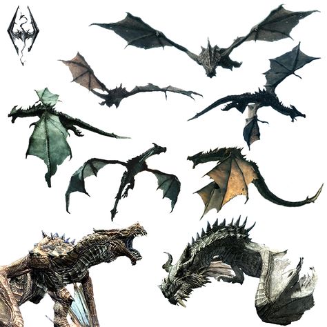 Skyrim Logo, Dragon Png, Dragon Flying, Transparent Background Image, Game Of Thrones Dragons, Got Dragons, Flying Dragon, Dragon Images, Png Free Download