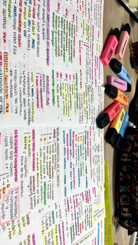 Highlighted Notes Aesthetic, History Highlighting Key, Revision Motivation, Studyblr Notes, Studying Aesthetic, Study Mode, Notes Aesthetic, College Notes, School Organization Notes