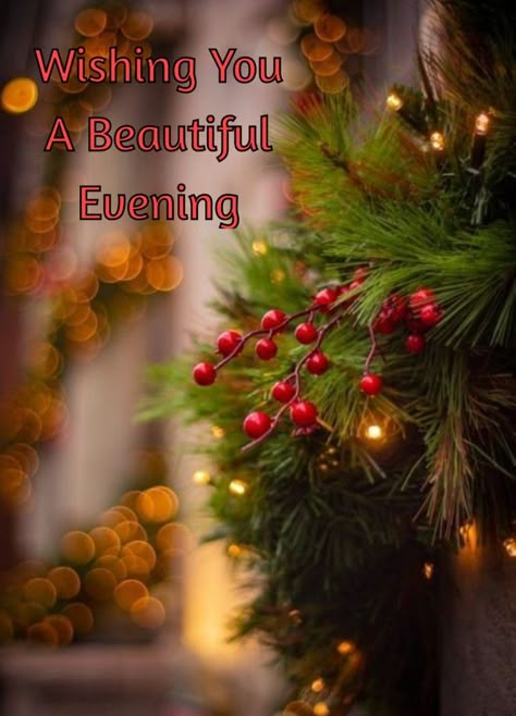 Good Evening Photos, Evening Blessings, Goodnight Sleep, Good Evening Messages, Winter Christmas Scenes, Wow Words, Love Rose Flower, Evening Quotes, Good Evening Greetings