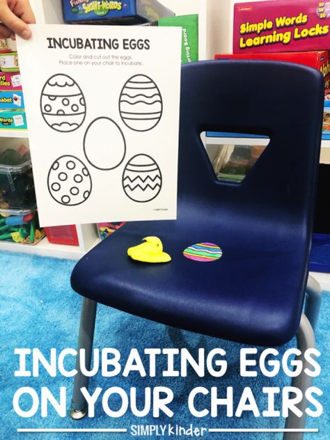 Have your students actually incubate eggs on their chairs. Color and cut out the eggs. Tape them to their chairs. After a day (or week) a little chick can appear. (Use a Peep for a yummy snack). Domino Addition, Incubating Eggs, April Writing, Teacher Interview, Teacher Interviews, Egg Incubator, Shrink Film, Preschool Class, Kindergarten Ideas