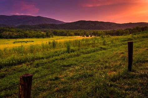 With over 2 million visitors a year, Cades Cove is hands down one of the most popular areas in the Great Smoky Mountains National Park. But what is it exactly that draws this incredible number of people to this area? Part of the reason is that it provides a special experience for families to enjoy together! Read on to learn about 5 family-friendly things you can only do in Cades Cove near Gatlinburg. 1. Explore Historical Buildings in Cades Cove Aside from breathtaking scenic views and playful w Cades Cove Photography, Gatlinburg Cabin Rentals, Smoky Mountains Vacation, Gatlinburg Cabins, Tennessee Vacation, Gatlinburg Tennessee, Cades Cove, Mountain Vacations, Great Smoky Mountains National Park