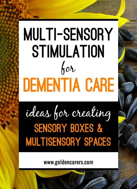 Memory Care Activities, Senior Living Activities, Nursing Home Activities, Therapeutic Recreation, Alzheimers Activities, Recreation Therapy, Elderly Activities, Multi Sensory, Sensory Boxes