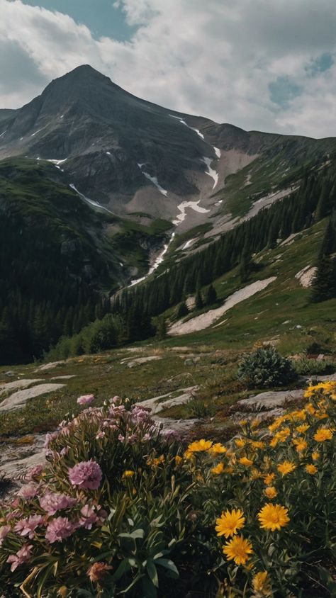 "Nature's Masterpiece: Majestic Mountains and Vibrant Flower Meadows 🌄🌸 Vintage Mountain Aesthetic, Mountain Mood Board, Mount Aesthetic, Jank Boteko, Nature Moodboard, Meadow Photography, Spring Mountains, Koopa Troopa, Beautiful Landscape Pictures