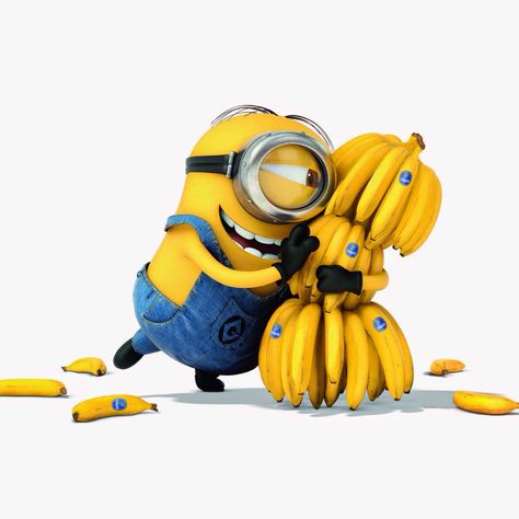 "Ooh...Hello papagena, tu le bella comme la papayaa..."-Stuart #minions #bananas Banana Language, Banana Minion, Amor Minions, Banana Wallpaper, Minion Rush, Despicable Me 2 Minions, Minions Images, Minion Mayhem, Despicable Minions