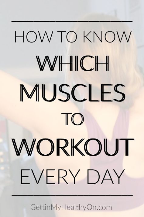 Muscles To Workout, Weight Lifting Schedule, Muscle Groups To Workout, Weight Training Schedule, Gym Schedule, Weekly Workout Schedule, Weight Lifting Routine, Week Schedule, Exercise Ideas