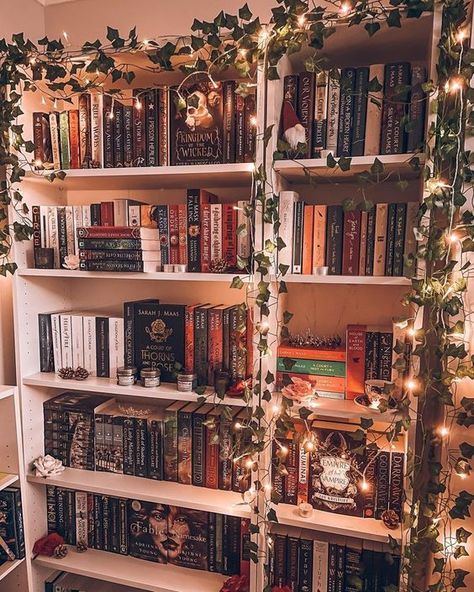 Book Shelves Aesthetic, Shelves Aesthetic, Home Library Aesthetic, Book Bedroom, Dream Home Library, Aesthetic Bookshelf, Home Design Architecture, Bookshelf Aesthetic, Home Library Rooms