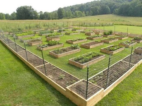 Big Square Garden Design, Large Raised Bed Garden, Large Vegetable Garden Design, Large Vegetable Garden Layout, Dream Vegetable Garden, Garden Layout Vegetable, Homestead Gardens, Diy Raised Garden, Backyard Vegetable Gardens