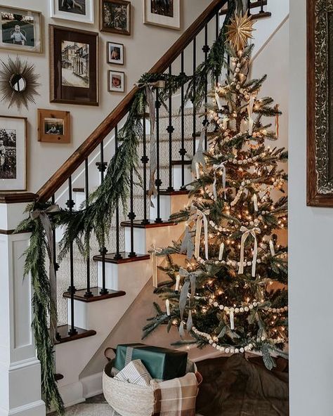 A M A N D A C O A K L E Y on Instagram: "Our foyer gives me all the holiday feels. It’s cozy, classic and calming. #christmas #christmasdecor #holiday #holidaydecor #foyer #foyerdecor #staircase #gallerywall #christmastree #kingofchristmas" Christmas Tree Staircase, Christmas Tree By Staircase, Christmas Tree In Foyer, Foyer Christmas Tree, Christmas Foyer Decor, Holiday House Decor, Christmas Foyer, Foyer Stairs, Christmas Staircase Decor