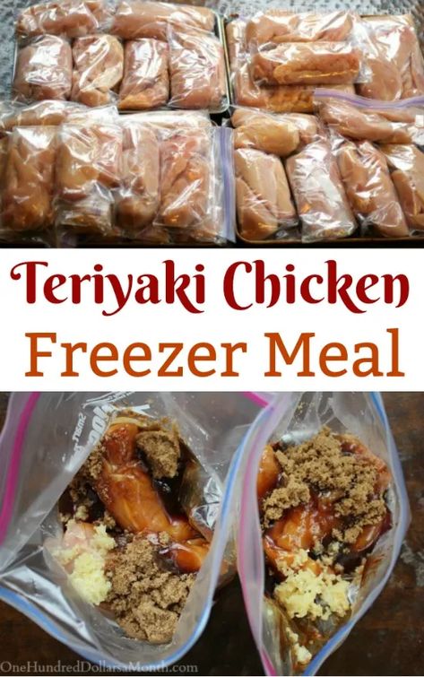 Freezer Meals - Teriyaki Chicken - One Hundred Dollars a Month Chicken Freezer, Chicken Instant Pot, Chicken Freezer Meals, Freezer Dinners, Budget Freezer Meals, Freezer Friendly Meals, Freezable Meals, Freezer Meal Planning, Make Ahead Freezer Meals