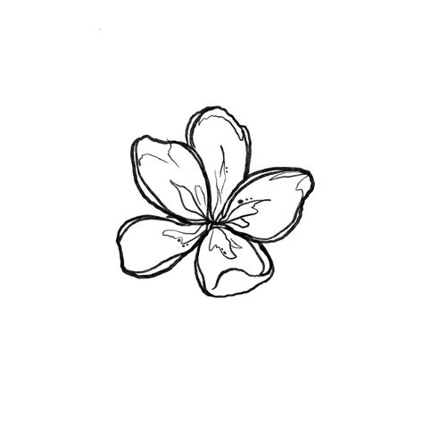 Flower Trio Tattoo, Hibiscus Flower Line Drawing, Flower Tattoos Hawaiian, Hibiscus Tattoo Drawing, Frangipani Tattoo Colour, Plumeria Flower Tattoos Black And White, Hawaiian Shell Tattoo, Origami Flower Tattoo, Medium Tattoo Stencils