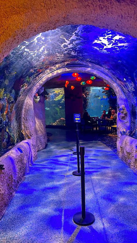 Aquarium Restaurant in Nashville, Tennessee Aquarium Restaurant Nashville, Tennessee Aquarium Chattanooga, Mermaid Restaurant, Aquarium Restaurant, Opryland Hotel, Tennessee Aquarium, Rv Road Trip, Tennessee Travel, Mermaid Swimming