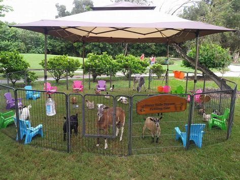 Petting Zoo Layout, Petting Zoo Farm Layout, Petting Zoo Farm Aesthetic, Petting Zoo Ideas, Petting Zoo Farm, Petting Zoo Birthday Party, Mobile Petting Zoo, Agro Tourism, Petting Zoo Birthday