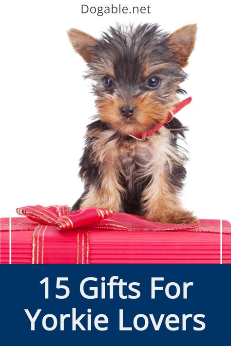 Getting someone a gift can be hard, but it doesn't have to be for your Yorkie lover. Check out the best gifts for Yorkie lovers here. #yorkiegifts #yorkiegiftideas #giftsforyorkielovers #yorkielovergifts #yorkieownergifts #yorkshireterriergifts Yorkie Must Haves, Yorki Beds, Yorkie In Purse, Yorkie Terrier, Yorkie Lovers, Pregnant Yorkie, Yorkie Dogs, 15 Gifts, Yorkie Puppy