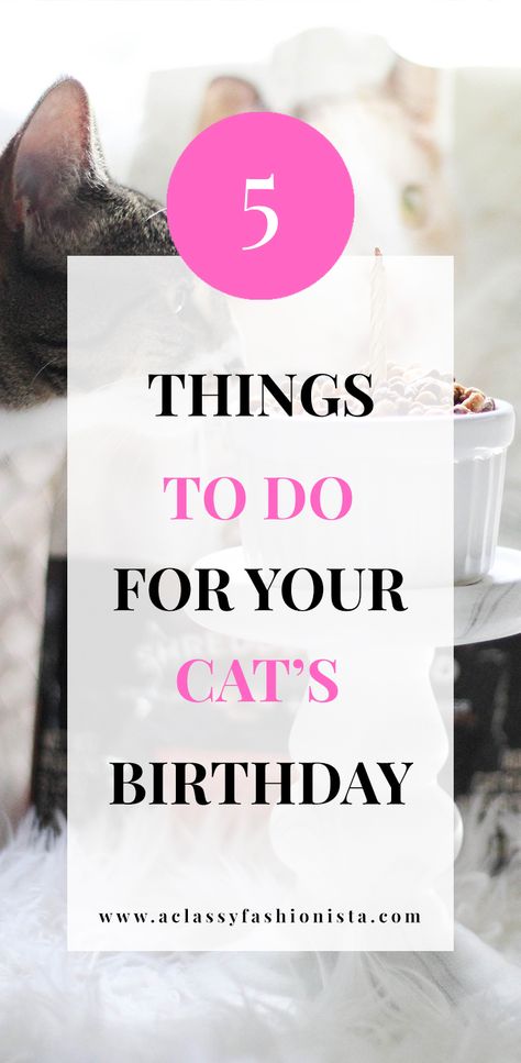 FIVE THINGS TO DO FOR YOUR CAT'S BIRTHDAY + CAT BIRTHDAY CUPCAKE | A Classy Fashionista | Cat Cupcake | Cat Cake | Cat Birthday | Pet Birthday | Cat Lover | #FortunaForAll #cbias | #ad How To Celebrate Your Cats Birthday, Birthday Treat For Cat, Birthday Cakes For Cats To Eat, Cat Birthday Treats, Cat Birthday Cake For Cats Recipe, Diy Cat Birthday, Homemade Cat Cake, Birthday For Cat Pets, Cat Safe Cake