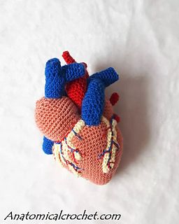 Ravelry: anatomicalcrochet - patterns Anatomical Crochet, Foundation Single Crochet, Crochet Skull, Crochet Heart Pattern, Crochet Amigurumi Free Patterns, Crochet Amigurumi Free, Red Yarn, Anatomical Heart, Single Crochet Stitch