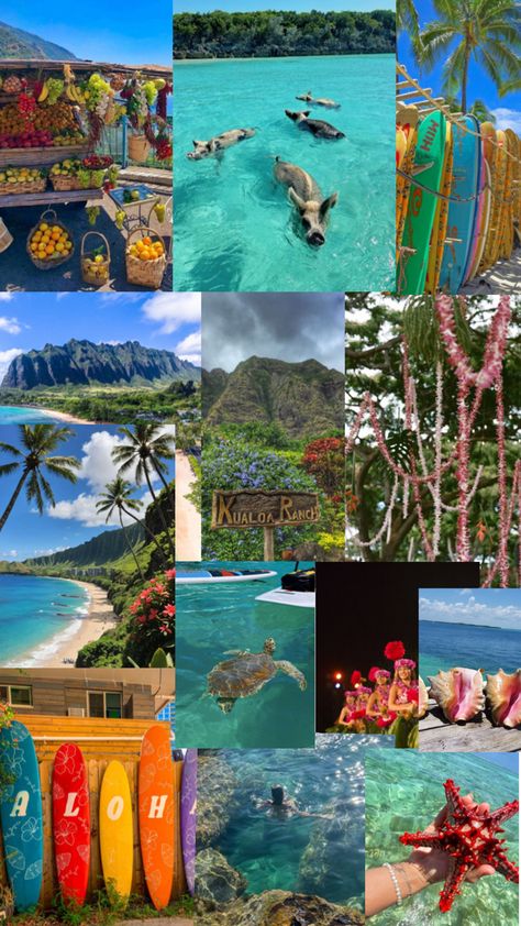 I love Hawaii and wanted to collage about it! Mood Board, Hawaii, I Love, Collage