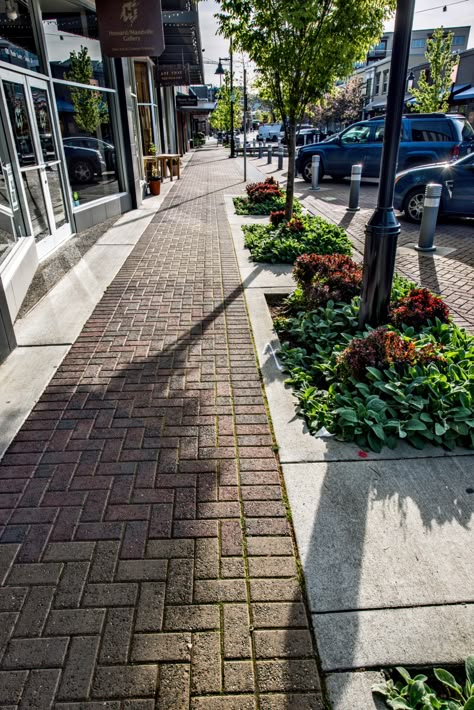 Harvest Blend Holland Pavers, Sidewalk Design, Permeable Pavement, Concrete Pavers Walkway, Pavers Walkway, Sidewalk Ideas, Sidewalk Landscaping, Walkway Designs, Landscaping Architecture