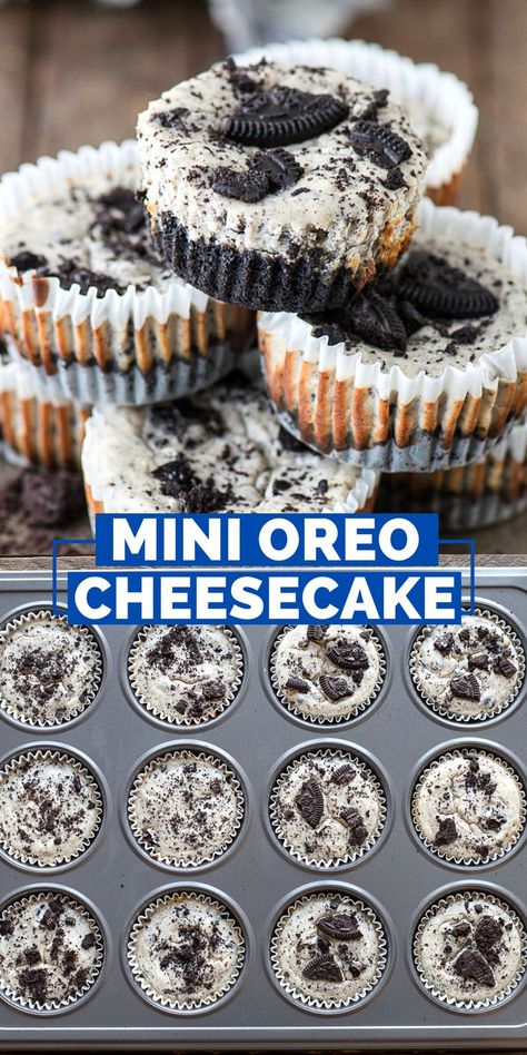 mini oreo cheesecakes stacked in a pile Oreo Cheesecake Cupcakes, Cheesecake Cupcakes Recipe, Oreo Cheesecake Bites, Mini Oreo Cheesecake, Mini Cheesecakes Easy, Cheescake Recipe, Oreo Cheesecake Recipes, Cheesecake Bites Recipe, Mini Cheesecake Recipes