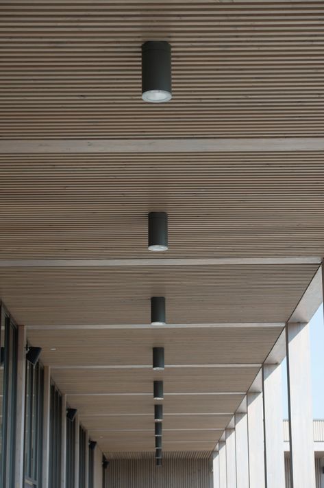 Acoustic Timber | Wood Slat Acoustic Panels | BCL Timber Projects Wood Slat Ceiling, Timber Projects, Interior Ceiling Design, Timber Slats, Timber Ceiling, Faux Plafond, Ceiling Design Modern, Timber Panelling, Ceiling Treatments