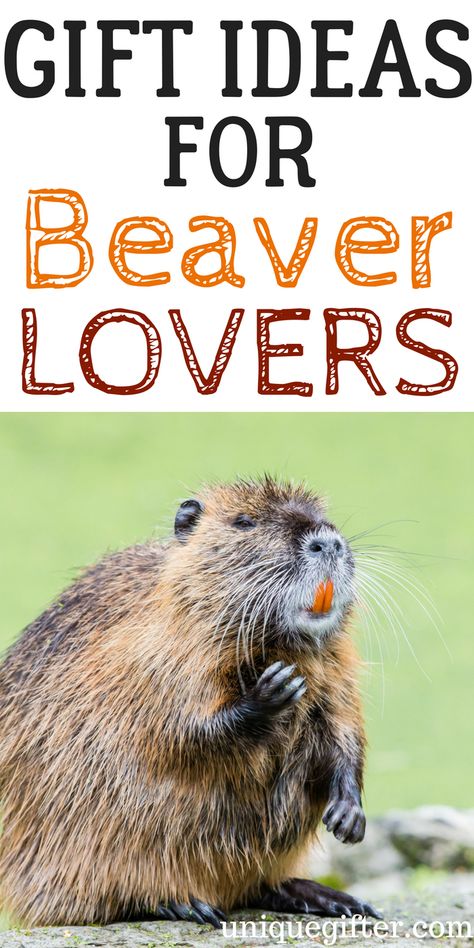 20 Gift Ideas for Beaver Lovers - Unique Gifter Beaver Birthday Party, Beaver Party, Beaver Quotes, Superhero Gift Ideas, List Of Gift Ideas, Presents Birthday, Superhero Gifts, Reward Charts, Lovers Gift Ideas