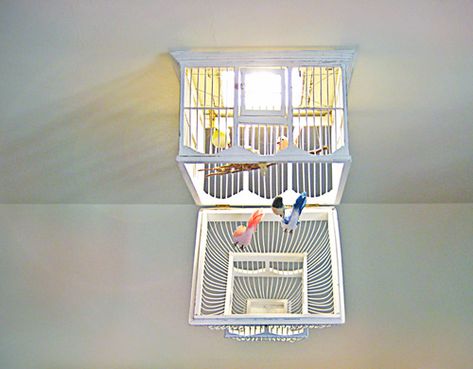 2. BIRDCAGE CHANDELIER Diy Birdcage, Birdcage Light, Kids Chandelier, Cool Chandeliers, Diy Bird Cage, Birdcage Chandelier, Indoor Blinds, Cheap Blinds, Cage Chandelier