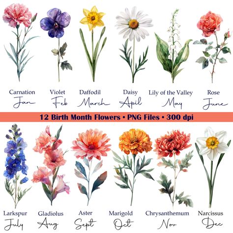 August Flower Birth Month, Apple Tattoo, Birthday Month Flowers, Stag Tattoo, June Flower, Bottle Cap Art, Birth Flower Tattoos, Floral Clipart, Flower Names